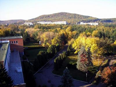 Прикрепленное изображение: PA031571.JPG